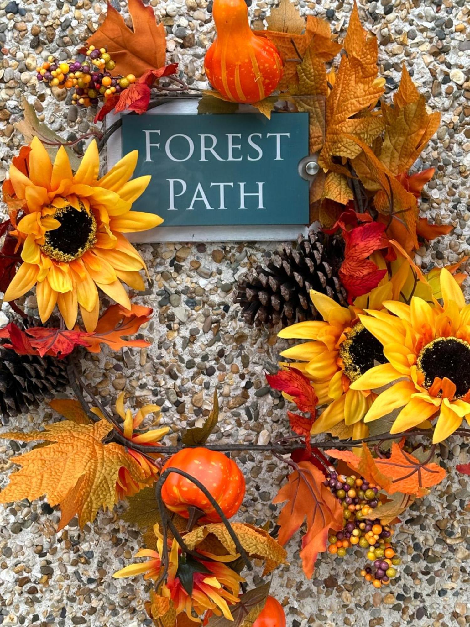 Forest Path Luxury Studio Apartment With Large Bedroom Bathroom And Sauna Sleeps Up To 4 Ballynahinch Ngoại thất bức ảnh